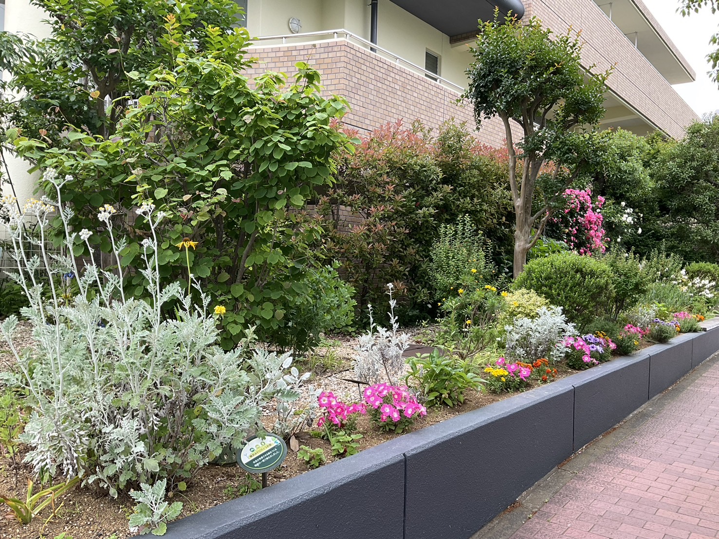 桂台地域ケアプラザの花壇